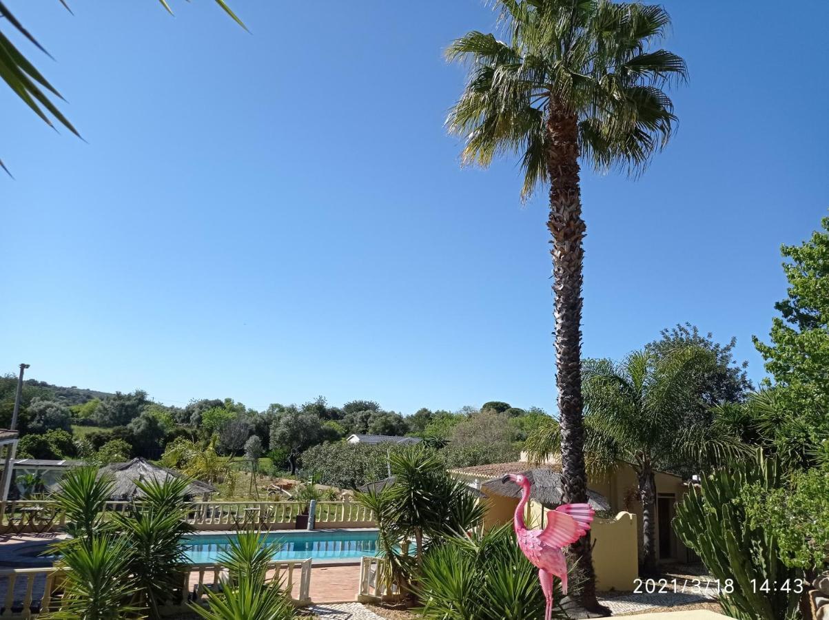 Quinta Pereiro Tropic Garden, Algarve Bed & Breakfast Moncarapacho Exterior photo