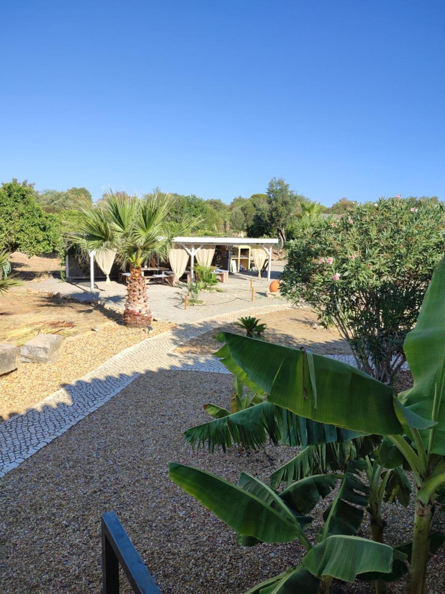 Quinta Pereiro Tropic Garden, Algarve Bed & Breakfast Moncarapacho Exterior photo